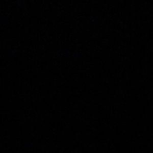 Meet your Posher, Julius